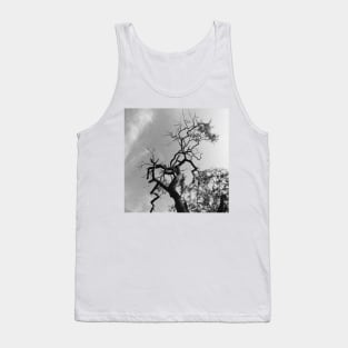 Old Spooky Bare Tree Branches Tank Top